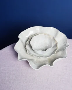 Areia Pastateller shell sand