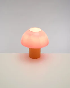 Cogumelo Glaslampe rosa gelb