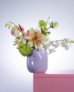 João Vase M lila rosa