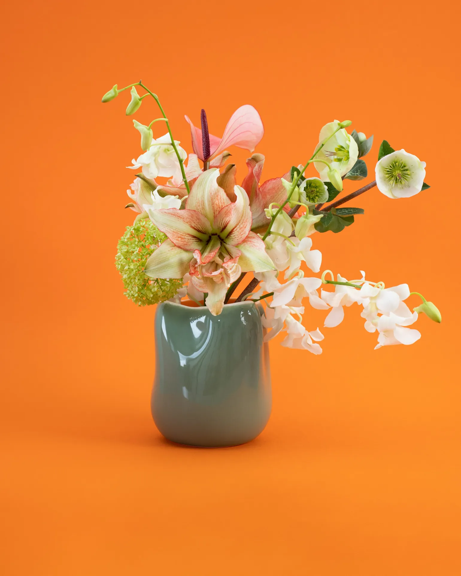 João Vase M salbei lila