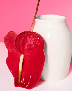 Sombra Vase M sand